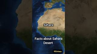 Shocking facts about Sahara Desert😮saharadesertfacts shortsfeedytshorts [upl. by Euqinna]