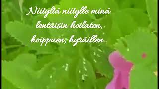 Juhannus toivotukset jokaiselle ðŸ’ðŸ˜ŠðŸŒºðŸ€ðŸ™ðŸŒžðŸŒ»ðŸ’š [upl. by Vogele]