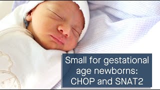 Small for gestational age newborns CHOP upregulation and SNAT2 dysregulation [upl. by Anertak]