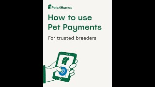 Pet Payments for trusted breeders [upl. by Econah794]