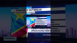 Se reportaron más casos de la “enfermedad X” en el Congo y la OMS ayudará en la investigación [upl. by Kyte940]