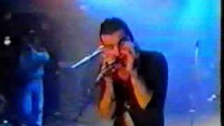 litfiba eroi nel vento live 1987 [upl. by Munshi]