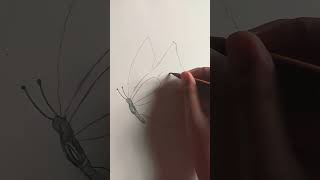 Drawing a butterfly butterfly drawing art [upl. by Reedy]