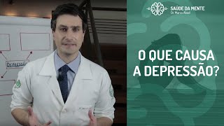 O que causa a Depressão [upl. by Sifan]