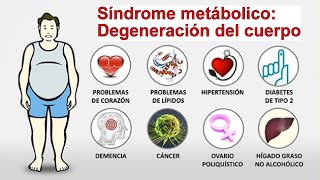 SINDROME METABOLICO INICIO DEGENERACION DEL CUERPO [upl. by Towny]