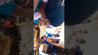 Paddy straw mushroom trainingviralshortvideo sebati [upl. by Eelatan194]