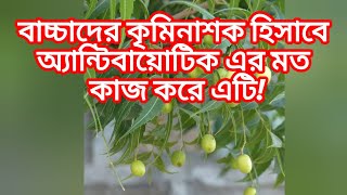 নিম গাছের অজানা কথা। Part2 knowledgeispower ytviralvideo subscribe [upl. by Anaet951]