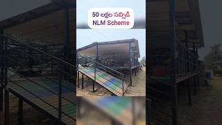 nlm scheme 50 lakh subsidy veterinarian [upl. by Stambaugh820]