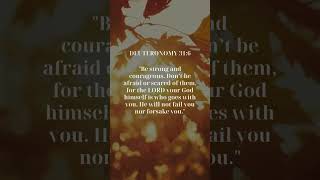 FAITH Forward Bible Verses to Uplift Your Spirit [upl. by Adnahcal391]