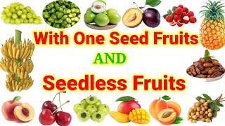 Learn fruit name with one seed and seedless fruits vocabulary [upl. by Nairrod187]