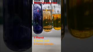 Ferric chloride test to distinguish between Phenol and Carboxylic acid12 organic chemistry [upl. by Marcile]