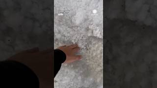 Thats some HAIL Calgary Alberta [upl. by Sampson]