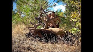 21 Blue Mountains Archery Elk Elk Fight [upl. by Sorilda]