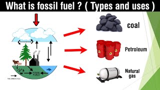 what is fossil fuel  types usespetroleum  coal  natural gas  in Hindi [upl. by Ahsata]