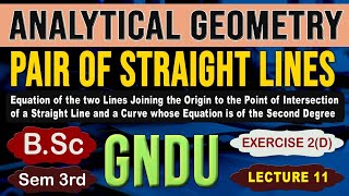 Pair of Straight Lines Exercise d Analytical Geometry bsc sem 3rd GNDU [upl. by Udale]