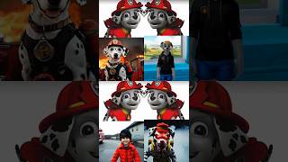 Paw patrol In Others Life pawpatrol [upl. by Shiau113]