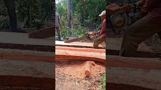 Splitting mahogany woodwoodwoodworking [upl. by Siloum]