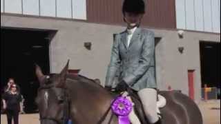 Scottsdale Arabian Horse Show 2014 video 1 [upl. by Azerila70]