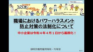 ①「職場におけるパワーハラスメント防止対策の法制化について」 [upl. by Ireva]