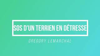 SOS dun terrien en détresse  Gregory Lemarchal  Paroles  Lyrics [upl. by Garbe650]