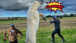 metal detecting with the XP DEUS 2 versus MINELAB EQUINOX 800  SILVER and my first POLAR BEAR 🤩 [upl. by Riobard]