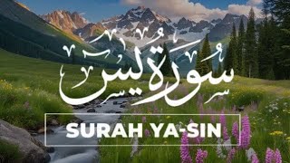 Surah Yaseen Full  سورۃ یاسین Quran Ka Dil Surah Yaseen Bahtareeen Tilawat with Khobsorat Manzar [upl. by Kuehn]