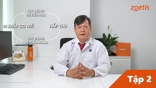 HIỂU CÙNG CHUYÊN GIA  Simparica®  Tập 2 quotCơ chế tác động của Simparica®quot [upl. by Akitahs]