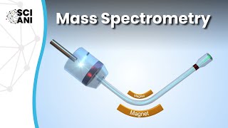 How does mass spectrometry work [upl. by Nahallac]