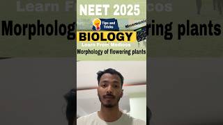 Morphology of flowering plants 🔥🔥mnemonics 1 ll neet2025 biology mnemonics education [upl. by Azelea]