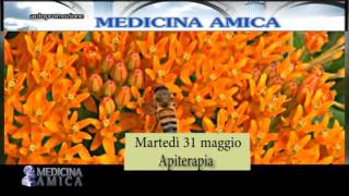 Promo Medicina Amica  31052016  Le api curano [upl. by Caruso]