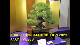 97th ed KOKUFU BONSAI EXHIBITION 2023 PART 1 Video A・第97回国風盆栽展（前期）ビデオ A [upl. by Iddet]