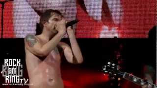 Die Toten Hosen  Tage wie diese live  Lanxess Arena Köln 17112012 rockamringblogde [upl. by Nyla969]