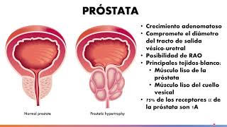 Farmacología del sistema adrenérgico Parte 33  Dr Martín Hornos [upl. by Killoran]