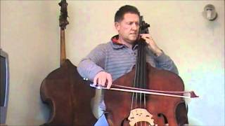 Mozart 40 first mov 2nd double bass excerpt [upl. by Frodine]