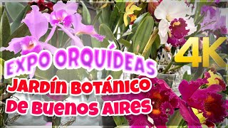 Orquídeas Gigantes en el Jardín Botánico de Buenos Aires Argentina [upl. by Trubow]