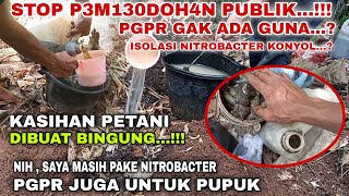 STOP PEMBODOH4N PUBLIK‼️KASIHAN PETANI SELALU DI BODOH ISOLASI NITROBACTER  PGPR DI BILANG KONYOL [upl. by Pren]