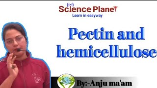 Pectin and hemicellulose By Anju maam scienceplanetbiology [upl. by Habas]