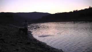 Fly Fishing Australia Lake Banimboola with Alexandra Fly [upl. by Ihsorih]