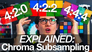 Chroma Subsampling amp BitDepth EXPLAINED 8Bit vs 10Bit 420 vs 422 vs 444 [upl. by Milah]