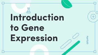 Chapter 28  Regulation of Gene Expression Part 1 [upl. by Lissner]