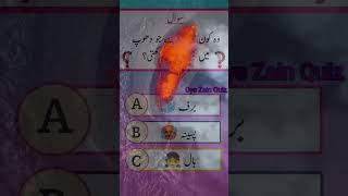 Oye Zain Quiz 💯 Dhup generalknowledge kiyamat islamicquiz [upl. by Siuqaj111]