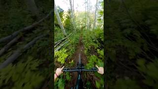 MTB speed mtb downhillbike automobile downhillmountainbike downhillbiking mountainbike [upl. by Atikim543]