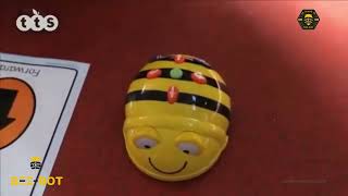 Aprendemos con BeeBot® [upl. by Cirala]