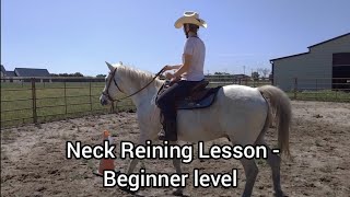 Indirect Rein or Neck Reining Beginner Riding Lesson with exercises [upl. by Shirberg]