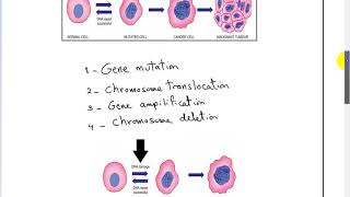 carcinogenesis 1 ONCOGENE DR SAMEH GHAZY [upl. by Elockin]