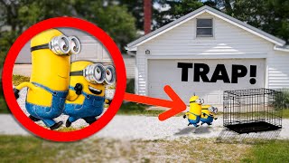 I CAPTURED MINIONS IN REAL LIFE Despicable Me 4 [upl. by Garrek457]