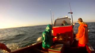 Snoek Fishing False Bay GoPro [upl. by Bentley]