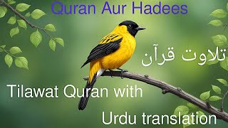 Tilawat Quran Translation  Tilawat Quran Urdu translation  Quran Pak Ki Tilawat Quran Aur Hadees [upl. by Kym]