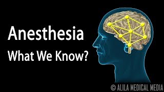 Neuroscience Basics Anesthesia How it Works Animation [upl. by Assillem]