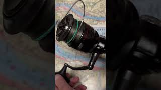 Penn Sargus 7000 fishing reel of the day fish [upl. by Atinnor]